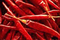 Red Chili